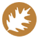 Nicolet College's Logo